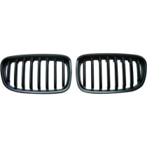 BMW 1-Serie F20/F21 11-15 Enkelribbad Mattsvart Sportgrill / Njurar DIEDERICHS